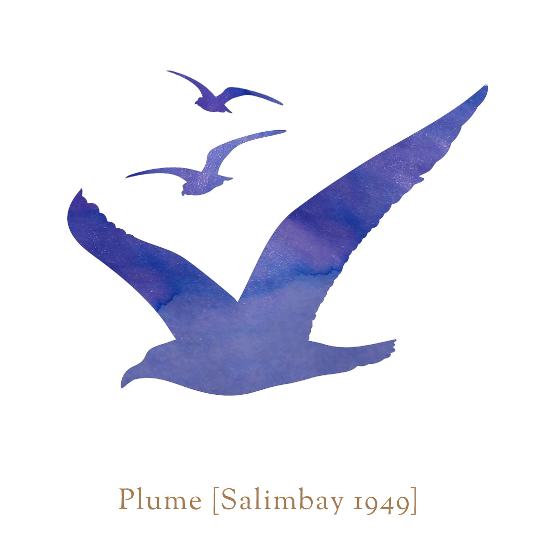 Plume [Salimbay 1949]
